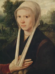 Portrait of a Young Woman